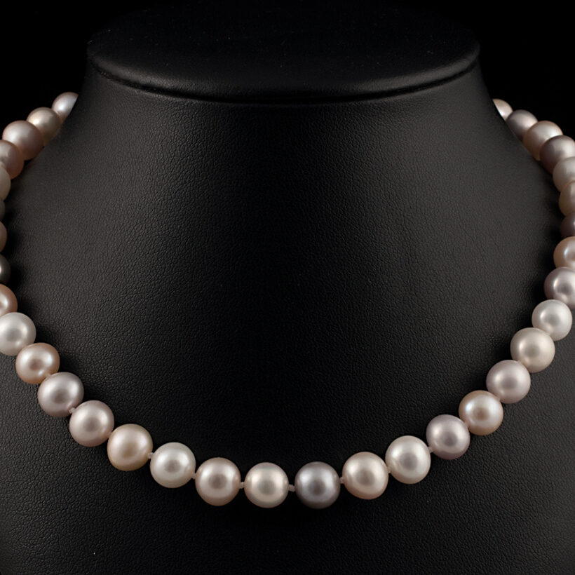 Natural Coloured Multi-tone Oval Pearl Strand, 7.5 – 8.00mm Pearls with Rose Gold Plated Silver Clasp