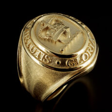 Gents Family Crest Signet Ring, 9kt Yellow Gold Design